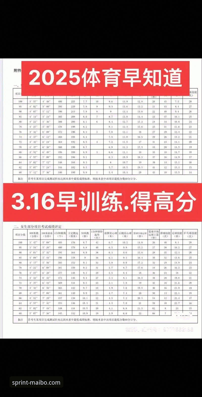 资深用户实测分享：迈博体育最新版使用心得与2025版体验全记录